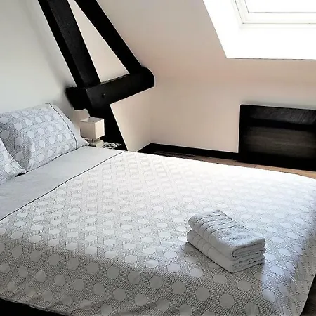 Apartment Bel *hypercentre* Tours